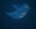 twitter-bird