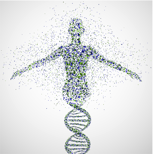 the_genome_as_a_person